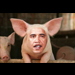 Obama Pig